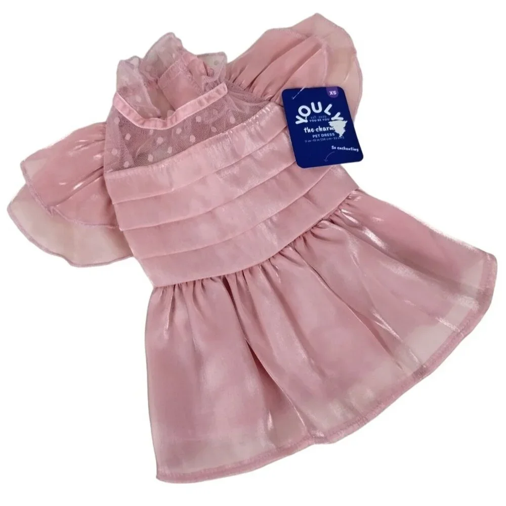 Youly Charmer Pink Ruffle Princess Dress with Lace Detail for Dogs XS 11 Inch